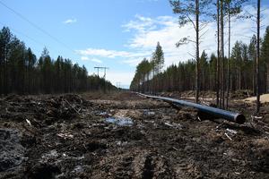 «Газпром» тянет трубы к 25 поселкам Пудожского района Карелии