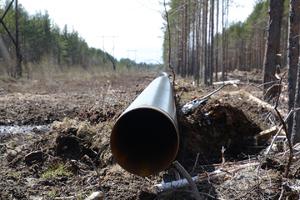 Скоро голубое топливо придёт в дома пудожан