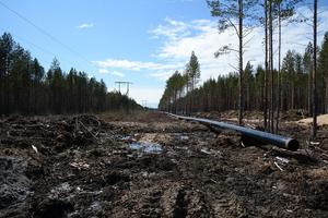 Полный газ! Как в Карелии реализуются программы газификации и догазификации